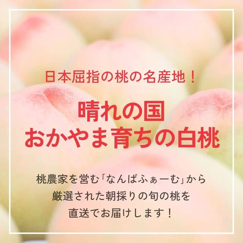 ＜数量限定＞［なんばふぁーむ］岡山県産 旬の桃 2.0kg（5～9玉）［ご家庭用］【2026年発送】
