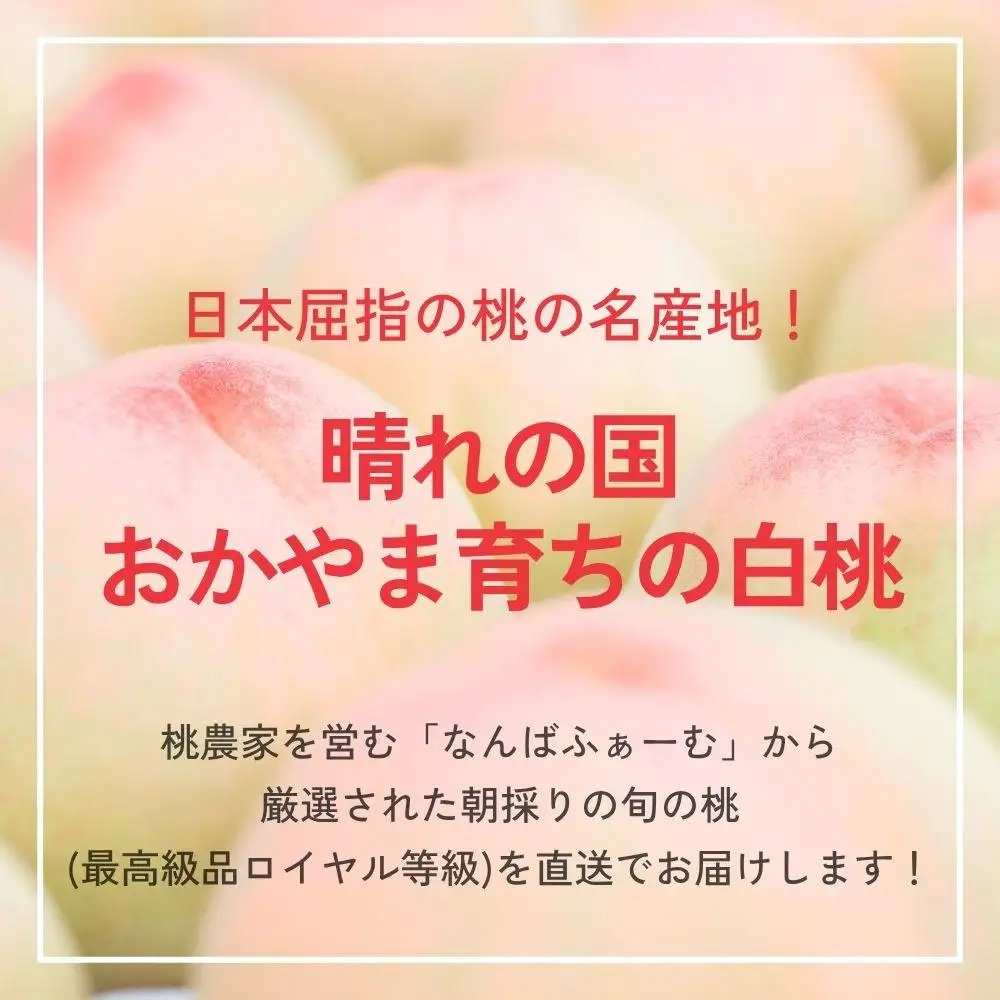 ＜数量限定＞［なんばふぁーむ］岡山県産 旬の桃 2.0kg（5～9玉）[ギフト用]【2026年発送】039-a004