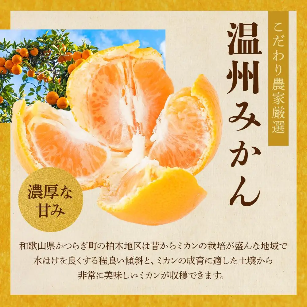 ［先行予約］［2026年11月初旬から11月末頃順次発送］ 和歌山県産温州みかん 約5kg（40個～60個）秀品 こだわり農家厳選！［KG31］