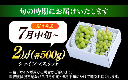 【先行予約・26年7月以降発送】日田産シャインマスカット2房(約1kg) シャインマスカット【配送不可地域：離島】[ARET002]