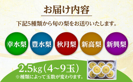 【先行予約】 日田梨 旬の梨 約2.5kg  ARET007