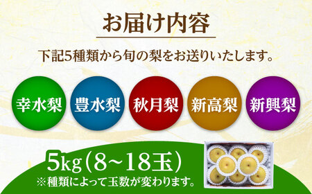 【先行予約】日田梨 約5kg 旬の梨 果物【配送不可地域：離島】 [ARET008]