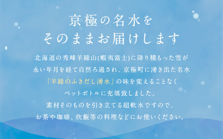 【6回定期便】羊蹄のふきだし湧水 「京極の名水」 500ml×24本 （1ケース） 軟水 水 みず ペットボトル 国産 定期便 北海道 京極町