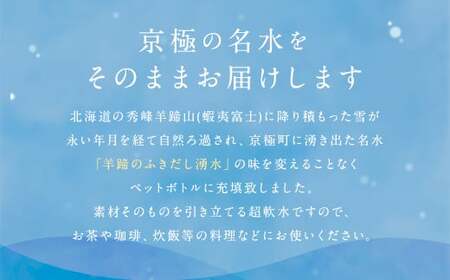 【12回定期便】羊蹄のふきだし湧水 「京極の名水」 500ml×24本 （1ケース） 軟水 水 みず ペットボトル 国産 定期便 北海道 京極町