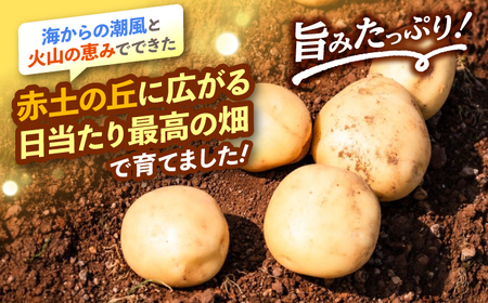【先行予約】じゃがいも にしゆたか 10kg CGM002 じゃがいも