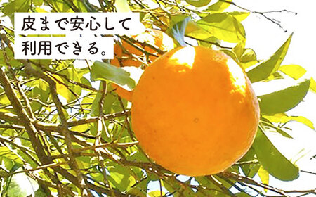 甘夏 5kg 【栽培期間中農薬・化学肥料不使用】 糸島市 / 大石ファーム [ATE044]