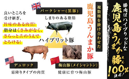 鹿児島うんまか 豚 生餃子 4パック（ 餃子 48個入り・ タレ付 ） K005-003_01 肉 豚肉 惣菜 総菜 冷凍