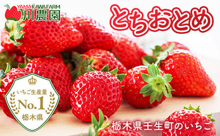 とちおとめ 320g×2パック 4Lサイズ ｜ いちご 苺 イチゴ 贈答 フルーツ 果物 国産 平積み ※2027年1月～発送
