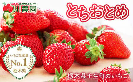 とちおとめ 320g×2パック 3Lサイズ ｜ いちご 苺 イチゴ 贈答 フルーツ 果物 国産 平積み ※2027年1月～発送