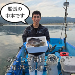 【期間限定1月～3月発送】漁師直送！お任せ魚介類の詰め合わせ 1.5kg～2kg 【オリジナルクリアファイル付き】