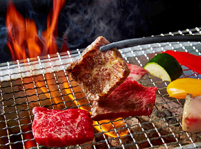 近江牛 ロース 焼肉 450g 【FO67W】【 近江牛 】 牛肉焼肉