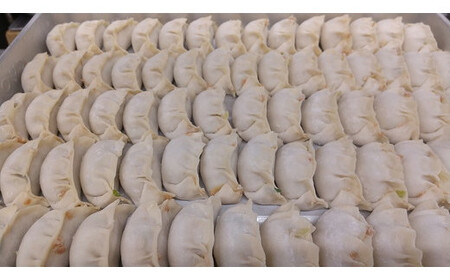 手作り冷凍生餃子 100個 計2.45kg｜餃子※着日指定不可