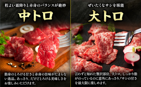 馬肉 熊本特産 フジチクオリジナル 特選 馬刺し 8種 セット 道の駅竜北  熊本県 氷川町 肉 馬肉 メン 大トロ 中トロ ヒレ シャトーブリアン ロース ランプ 上赤身 ネギトロ ふじ馬刺し セット 食べ比べ