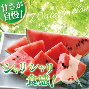 先行予約 スイカ 西瓜 8.5kg～9kg 1玉 山崎農園 産地直送 お取り寄せ 夏 旬 茨城県 阿見町 すいか 西瓜 果物 くだもの フルーツ 国産 甘い 送料無料【2026年5月下旬～7月中旬頃順次発送予定】（70-01-1）