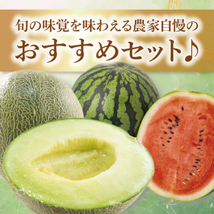 先行予約 グリーンメロン 小玉 スイカ 西瓜 1玉 セット 山崎農園 産地直送 お取り寄せ 夏 旬 茨城県 阿見町 すいか 西瓜 メロン 果物 くだもの フルーツ 国産 甘い 送料無料【2026年5月下旬～6月下旬頃順次発送予定】（70-03-1）