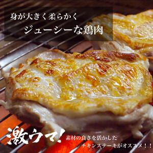 UF10 国産ブランド 匠美鶏 国産 ５種食べ尽くしセット 計３.１kg ムネ正肉 モモ正肉 ささみ 手羽先 手羽元 鶏肉  冷凍  タンパク質  唐揚げ チキンソテー 煮物 チキン南蛮