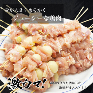 UF11 国産 焼き鳥 ３種３０本セット 鶏肉 個包装 ねぎま にんにく 鶏もも 砂肝 おつまみ バーベキュー BBQ アウトドア 冷凍　真空