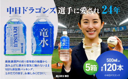 中日ドラゴンズ公式ミネラルウォーター 竜水 500ml （120本）中日ドラゴンズ選手に愛されて24年 プロ野球 天然水 ペットボトル 防災 備蓄
