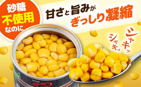【全2回定期便】自然甘 ホールコーン 24缶【きもべつ観光協会】 缶詰 瓶詰 加工品 とうもろこし 北海道 常温配送 [AJAG023]