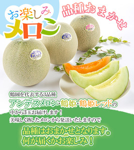 【令和8年産先行予約】 お楽しみメロン 3玉セット 2Lサイズ 山形県庄内産 アンデスメロン・鶴姫メロン・鶴姫レッドメロン の中から3玉お届け 食べ比べ　JA鶴岡 K-836