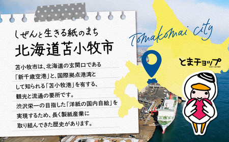 北海道 苫小牧市 応援寄附金 （ 返礼品なし ） 5,000円 T000-001-02 応援 返礼品無