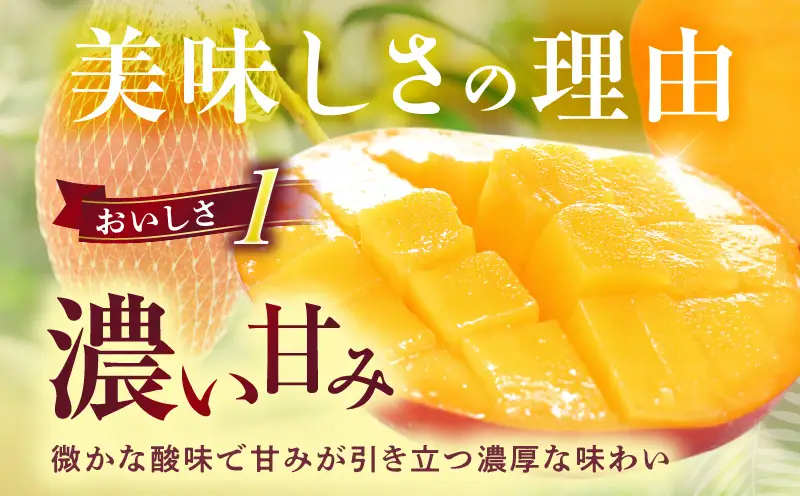 宮崎県産 完熟マンゴー 2玉 2L