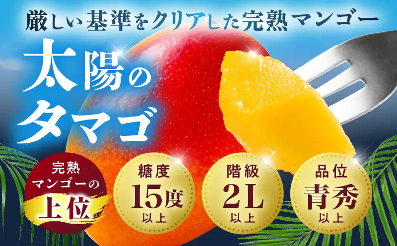宮崎県産 太陽のタマゴ 2L×2玉