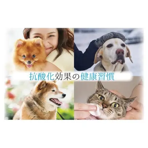 アニマルペットシータラクト 60カプセル入り×2箱【サプリメント 健康 健康食品 ペット 犬猫用 免疫 関節 腰 ビタミン 乳酸菌 三重県 四日市市 四日市 ふるさと納税】