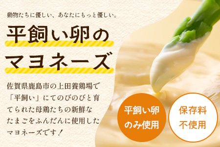 ＼濃厚卵のマヨネーズ／瓶詰め マヨネーズ 2本セット | 上田養鶏場のこっこの陽なたマヨ 170g | マヨネーズ マヨ 調味料 たまご 平飼い お料理 安心 安全 玉子 サラダ ディップ ポテトサラダ ドレッシング 送料無料　A-204