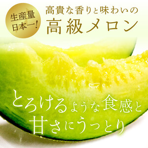 メロンの森　アールスメロン（マスクメロン）1個入り（約1.5kg～2kg）