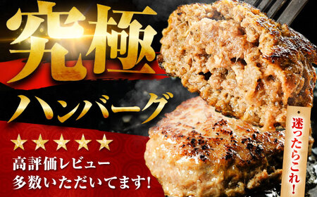 6回定期便 黒毛和牛ハンバーグ 140g×10 [FBX041]
