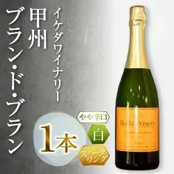 ワイン イケダワイナリー 甲州 ブラン・ド・ブラン（MG）A09-481