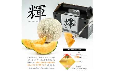 メロン めろん ＼光センサーで計測 糖度16度以上！／クインシー 【輝】2玉  茨城 鉾田 サングリーン旭 フルーツ 旬 プレゼント 人気 おすすめ 贈り物 甘い ヘルシースイーツ 産地直送 農業王国 赤肉 クインシーメロン 輝 特秀 赤 5月以降発送