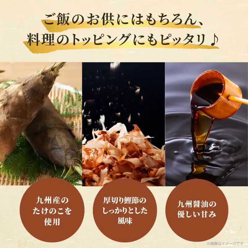 ＼ポスト投函／九州産たけのこ土佐煮100g おかず 筍 野菜 加工品 国産_T037-0095