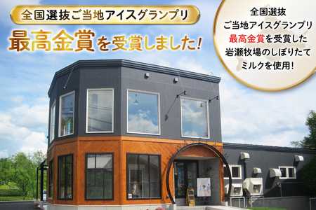 【もち米×ジェラート】もっちー アイスクリーム 4種 計10個 詰め合わせ [シーピーエス 北海道 砂川市 12260807] 