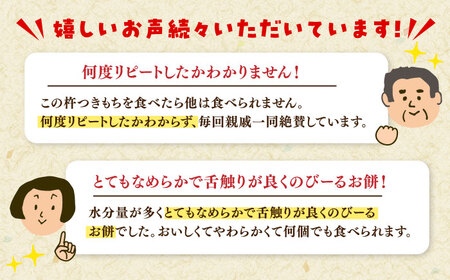 自慢の杵つきよもぎ餅（冷凍）計48個入（40g×4個入×12P） / 佐賀県 / 旬菜舎さと山 [41AABM027]