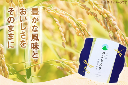 米 コシヒカリ パックご飯 150g ×20パック [翠の波 石川県 宝達志水町 38601227]