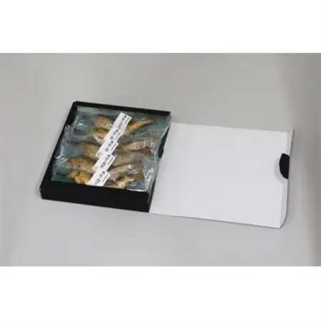 子持ち鮎塩焼き　70g×5尾_魚介・海産物   _【配送不可地域：離島】【1615217】