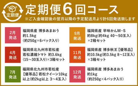 【福岡県産 特産品 年6回定期便】うまもぐ厳選 野菜果物セットDX 定期便 野菜 果物 詰め合わせ