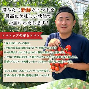 トマト 中玉 900g 以上 マキノハニー 枝完熟 【 トマト 】トマトップ 高 リコピン 