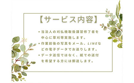 ＜胎内市内利用限定＞草刈り作業代行 草刈り 空き地 空地 お手入れ 見守り報告１回（草刈り60分）