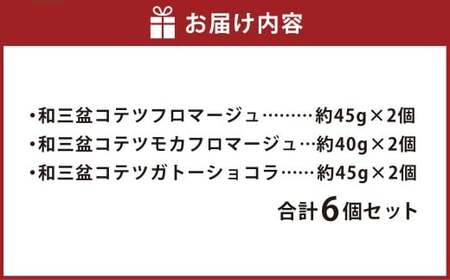 3種類の 和三盆 ケーキ 6個セット フロマージュ  モカフロマージュ ガトーショコラ