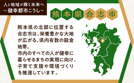 【応援寄附金】熊本県合志市 1口 1万円 返礼品なしのご寄附　【合志市役所】[AYBZ001]