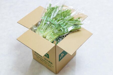 AI339 定期便 6回 水菜 30束 [長崎県 島原市]