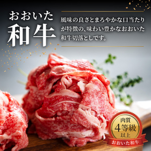 【父の日ギフト】 おおいた和牛 切落とし 1.2kg ≪6月21日お届け≫ A01142-C