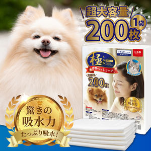 定期便 全12回 ペットシーツ 【極】シリーズ 薄型レギュラー 200枚 ペット用 犬用 猫用 トイレシーツ 日用品 ペット用品 防災 備蓄 消耗品 ドッグ キャット わんちゃん ねこちゃん 静岡県 富士市 [sf077-137]