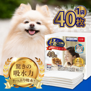 定期便 6回 ペットシーツ 【極】シリーズ 薄型スーパーワイド 40枚 ペット用 犬用 猫用 トイレシーツ 日用品 ペット用品 防災 備蓄 消耗品 ドッグ キャット わんちゃん ねこちゃん 静岡県 富士市 [sf077-142]