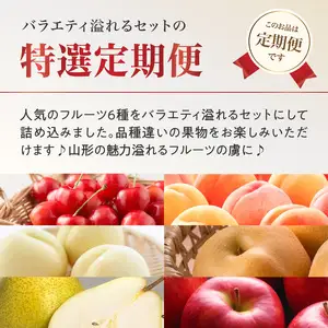 【2026年度発送】≪先行受付≫ 人気フルーツバラエティ６種便【定期便全4回】 060-T09