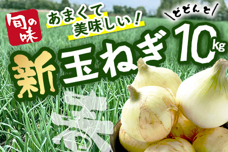 鹿島市産 新玉ねぎ 合計10kg B-842 たまねぎ 玉葱 サラダ 料理【2026年4月中旬より順次発送】