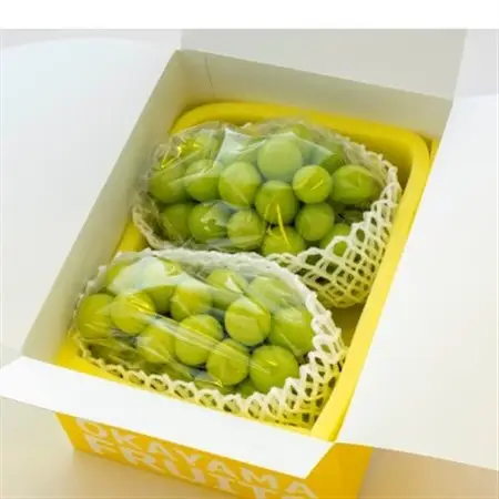 【2026年発送】ご家庭用　岡山県産シャインマスカット(クール便)　約1.2kg(2～3房)【配送不可地域：離島】【1614316】